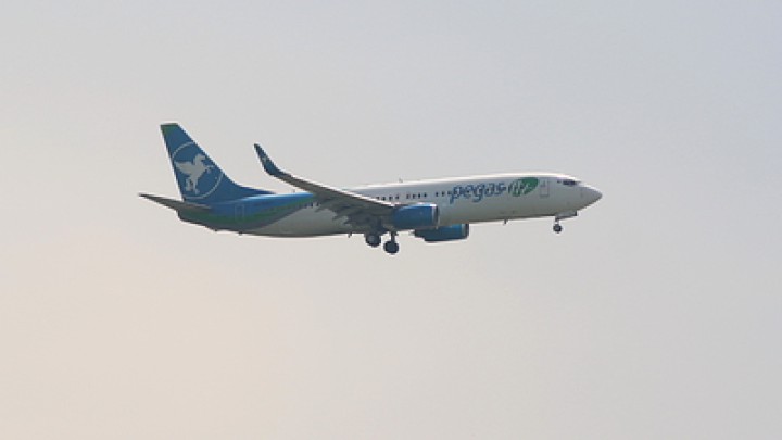 Мигранты улетят из России в рамках акции своих не бросаем