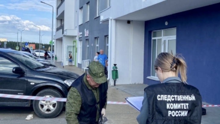 В Ижевске 25-летний незнакомец выбросил с 17 этажа школьницу и прыгнул за ней