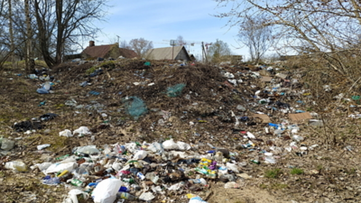 Журналисты помогли убрать мусор и облагородить парк в Москве