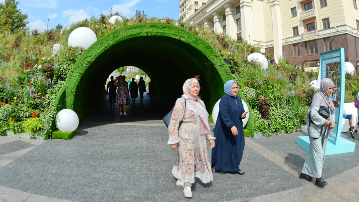 Врачам России хотят навязать нормы шариата. Главное осталось за кадром: Кому нужен массовый социальный взрыв?