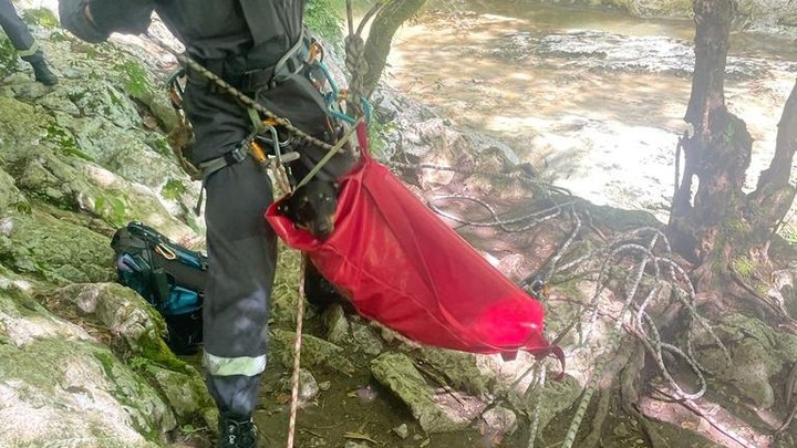 В Сочи спасатели пришли на помощь собаке, которая сорвалась с 10-метрового обрыва