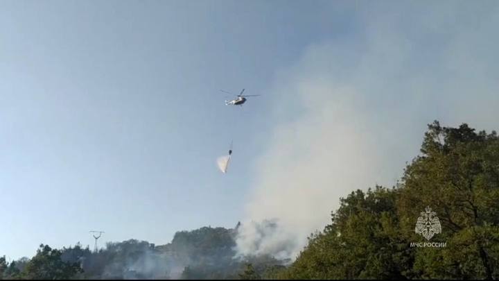 Площадь пожара в лесу Геленджика увеличилась до 5 га