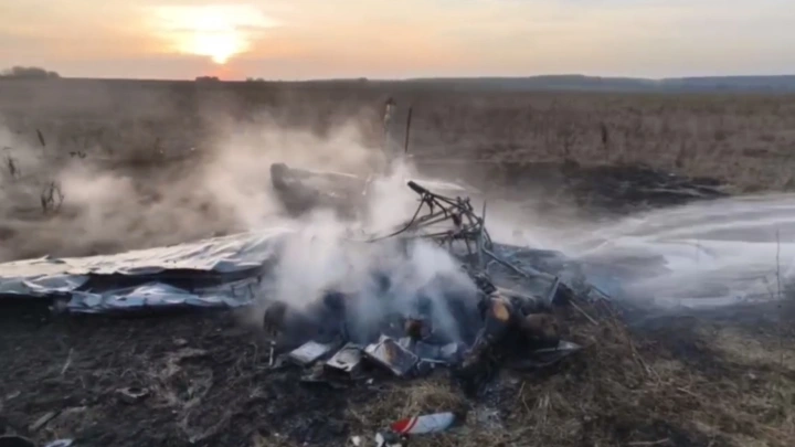 Появилось видео с места крушения самолёта в Подмосковье