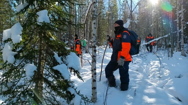 Прервала молчание: дочь Усольцева сделала заявление об исчезновении семьи