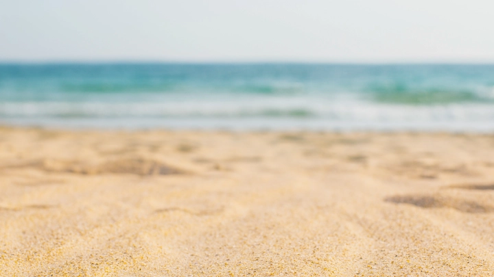 В США установили личность пропавшего человека по найденной на пляже кости