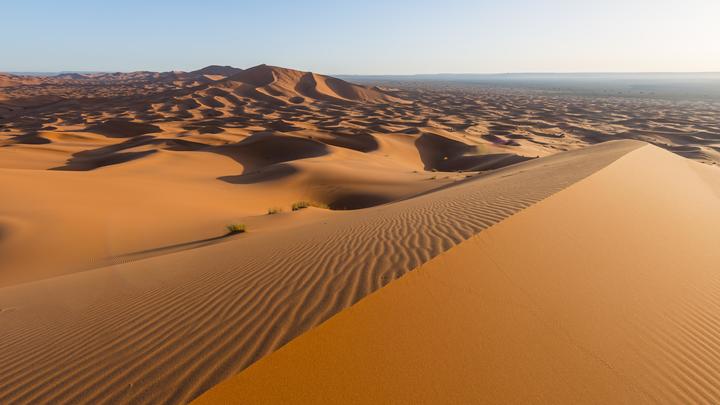 Врата в Сахару замело по-московски: Русские не удержались от насмешек
