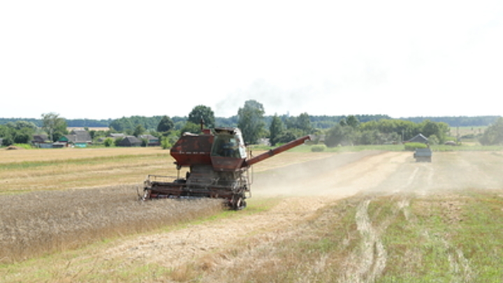 Мелитопольский госуниверситет успешно завершил уборочную кампанию
