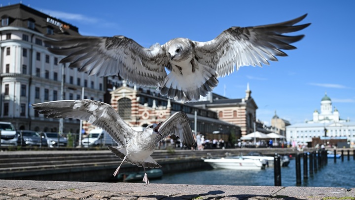 Финны ищут лазейку, чтобы присвоить крытую арену, которая принадлежит гражданам России