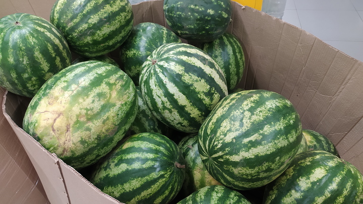 В Чехове торговца арбузами изрезал начальник за сон на работе