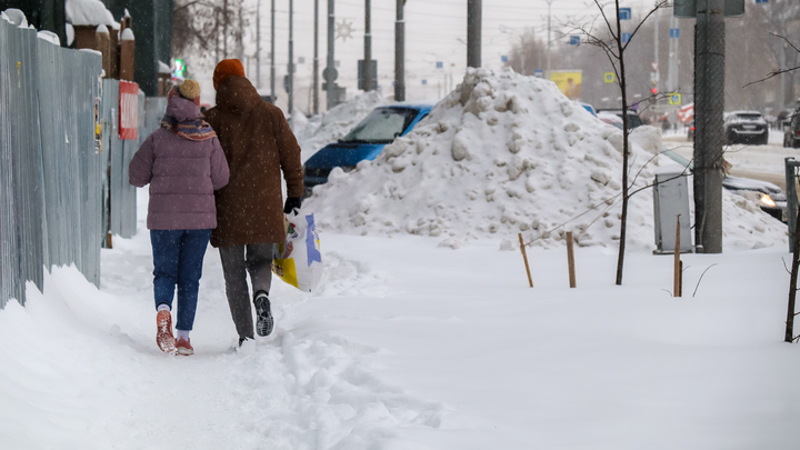 Метель прогнозируют в Москве 15 декабря