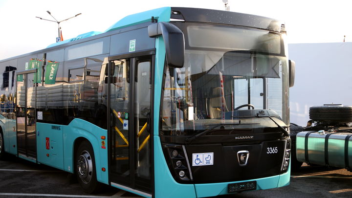 Маршрут двух автобусов в Петербурге изменится с 31 июля