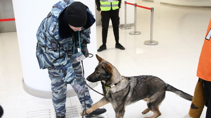 Пермскую школу №42 вновь эвакуировали после сообщения о заложенной бомбе
