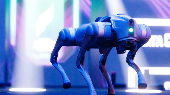 AFP: ВСУ выпускают на поле боя робособак для разведки и обнаружения мин