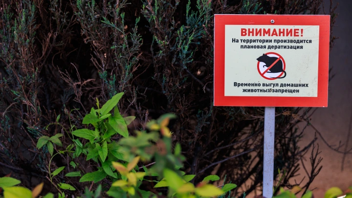 В Приморском крае пятеро детей отравились в школе средством от крыс