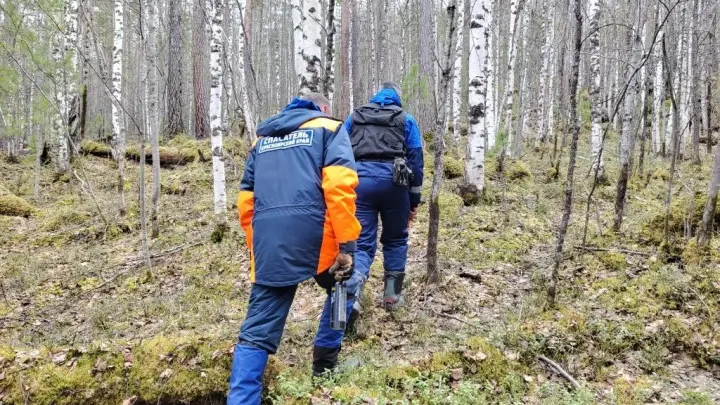 Спасатели обследовали девять квадратных километров склона в поисках Усольцевых