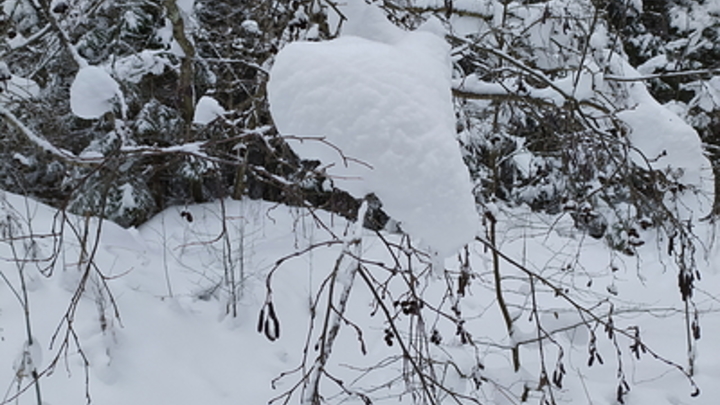 Зимний сезон на Роза Хутор стартует с 23 декабря