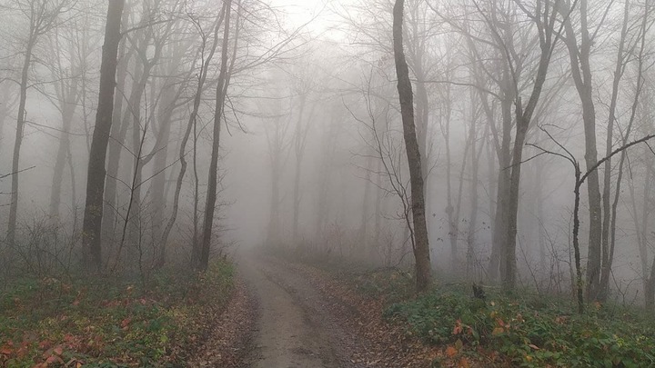 В Краснодарском крае прогнозируются холода, дожди и грозы
