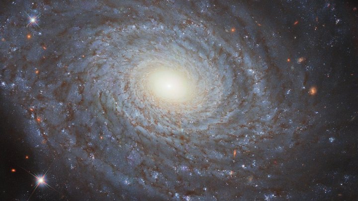 Метеорный поток Ариетиды 8 июня 2023: откуда наблюдать петербуржцам