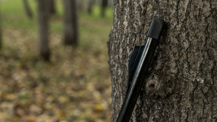 За что под Чеховым застрелили двух собак