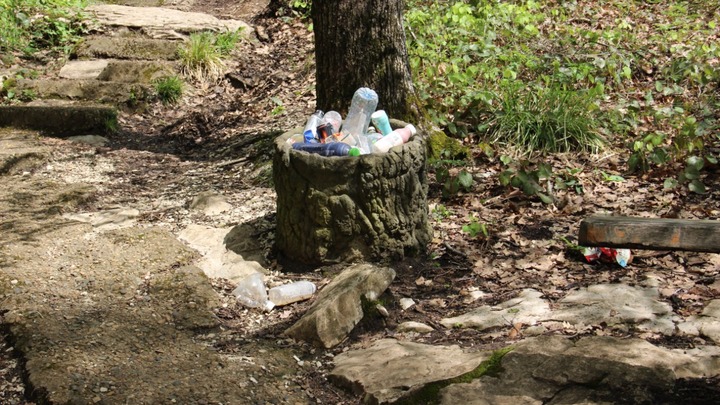 В Сочи горожан и туристов призывают соблюдать чистоту при отдыхе на природе