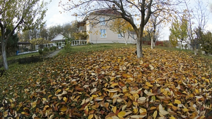 Депутат Чаплин: граждане России могут сэкономить на содержании дачного участка