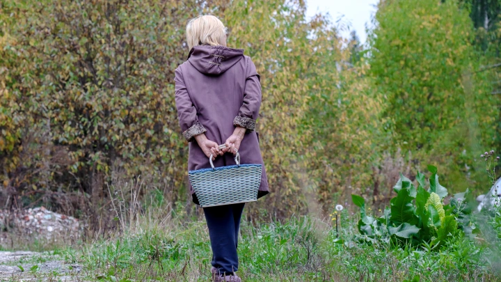 Миколог Жаринов напомнил новосибирцам о смертельно опасных грибах