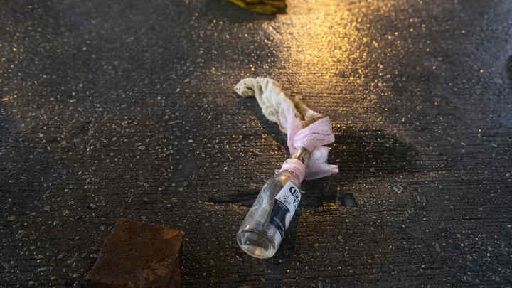 Оппозиция Киргизии перешла в наступление: В спецназ полетели коктейли Молотова