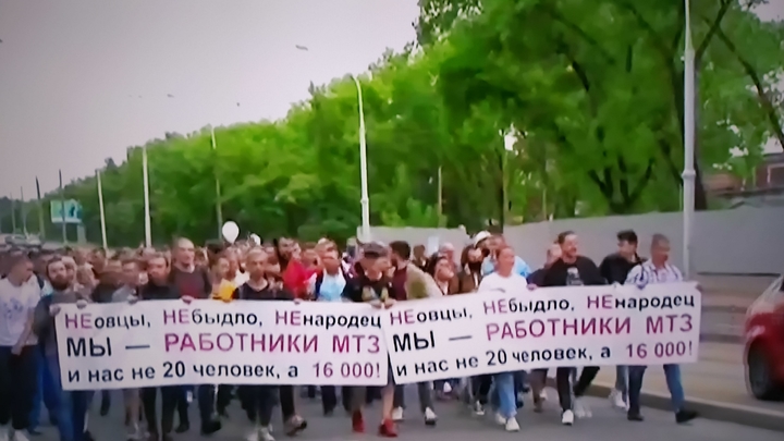 Благодаря ВКС РФ: Протестующих белорусов пересчитали по головам