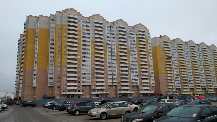 В Петербурге проверят законность застройки на территории ЖК Каменка