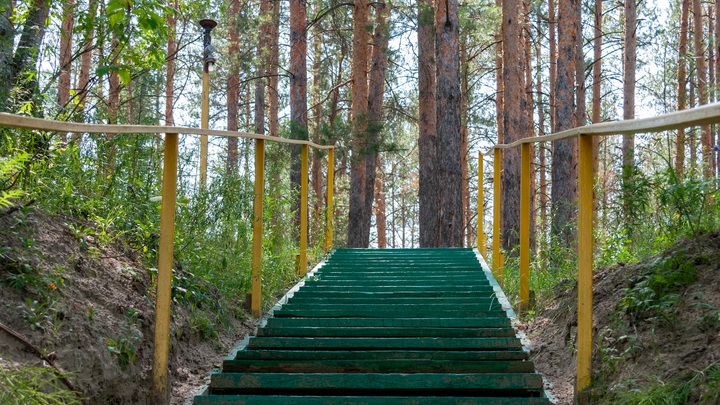 Учёные выяснили, что подъёмы по лестнице снижают риски развития болезней сердца