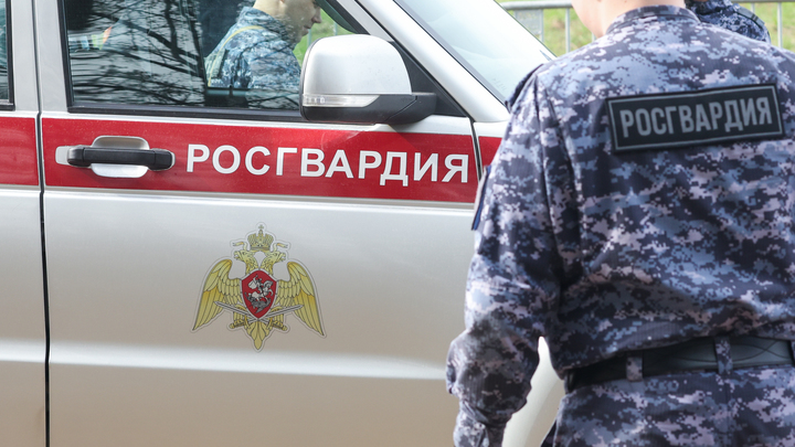 Пьяный петербуржец сам у себя угнал автомобиль