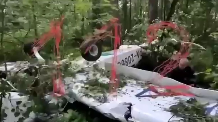 Частный самолет упал в Московской области