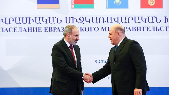 Самый милый усатый визитёр решил поучаствовать во встрече Мишустина и Пашиняна — видео