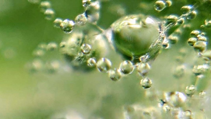 Роскачество проверило питьевую воду: Каждый третий образец получил замечания