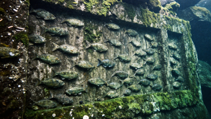 На дне Атлантики нашли 7000-летнюю стену, меняющую историю