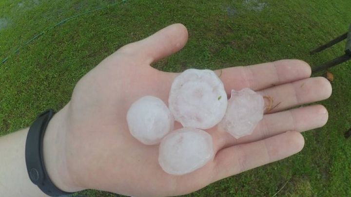 На севере Свердловской области выпал град размером с грецкий орех