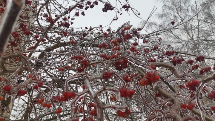 Погода в Москве и Подмосковье: на этой неделе в область придут январские морозы