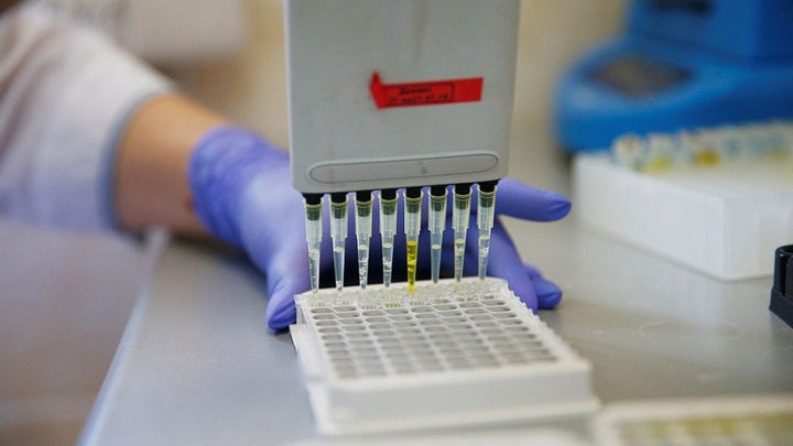 Плюс тысяча вакцин: Кубань получила вторую часть крупной партии препарата от ковида