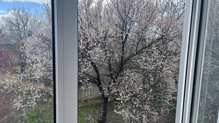 В горах Кубани в конце недели ударят заморозки