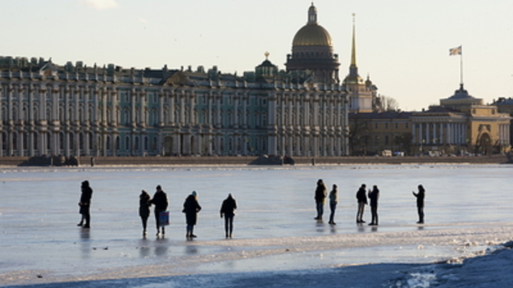 Италия вернёт по требованию Эрмитажа шедевры живописи: С письмом обратился Пиотровский
