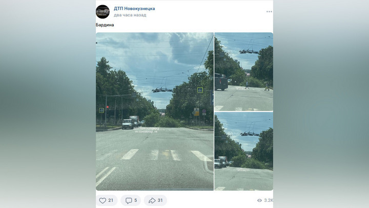 Дереву упало на проезжую часть улицы Бардина в Новокузнецке