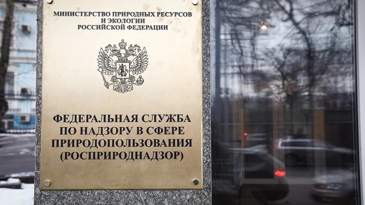 Порт Новороссийска и зерновые терминалы заплатят 6,6 млн рублей за загрязнение Черного моря