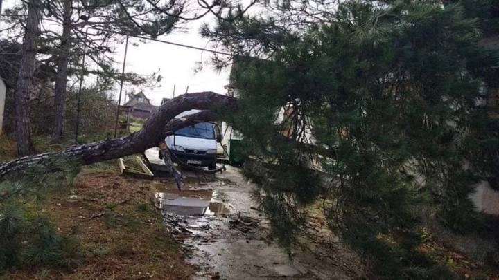 В полмиллиарда рублей оценили предварительный ущерб от шторма в Крыму