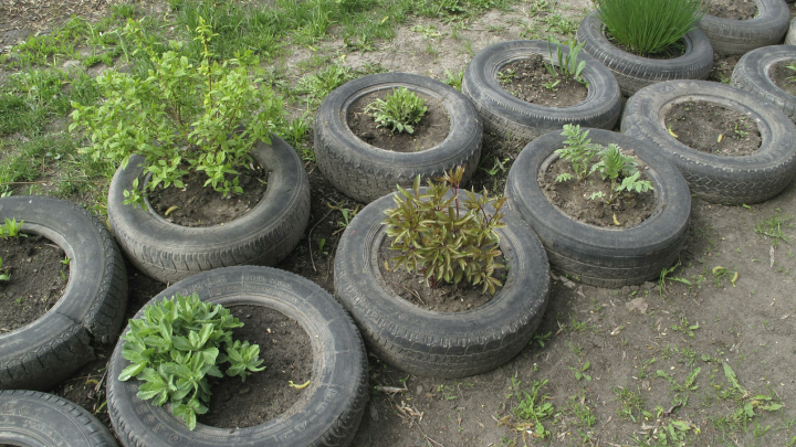 Почему использовать старые шины в саду опасно: эксперт назвала 5 причин