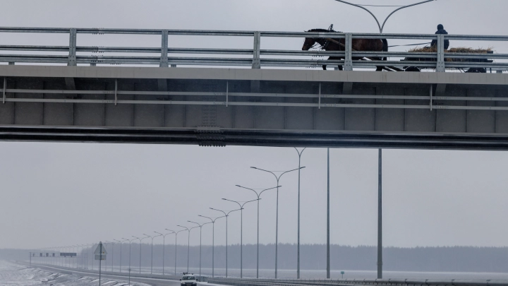 В Новосибирской области 16-летний мотоциклист погиб в ДТП с конной повозкой