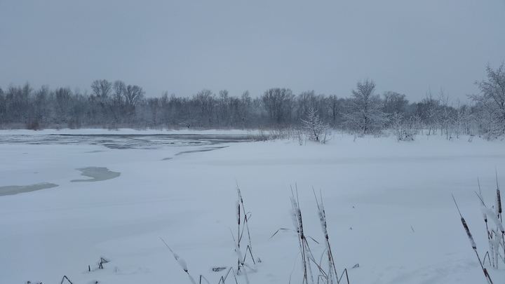 Мороз до минус 40 градусов и слабый снег ожидается в Забайкалье 26 января