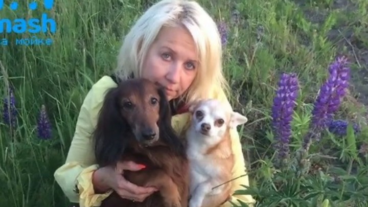 «Вы с ними плохо обращаетесь»: зоозащитники отобрали у разведенной хозяйки собак и кота