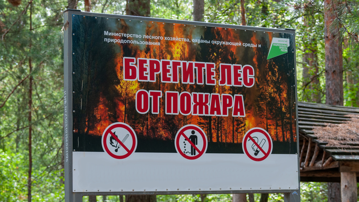 В Архангельской области пожарные локализовали крупный пожар в Северодвинском лесничестве