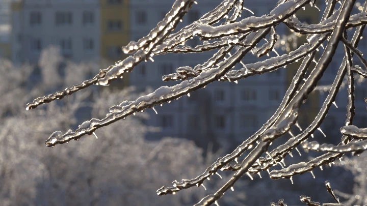 В третьей декаде декабря в Новосибирской области ударит мороз до -39 градусов