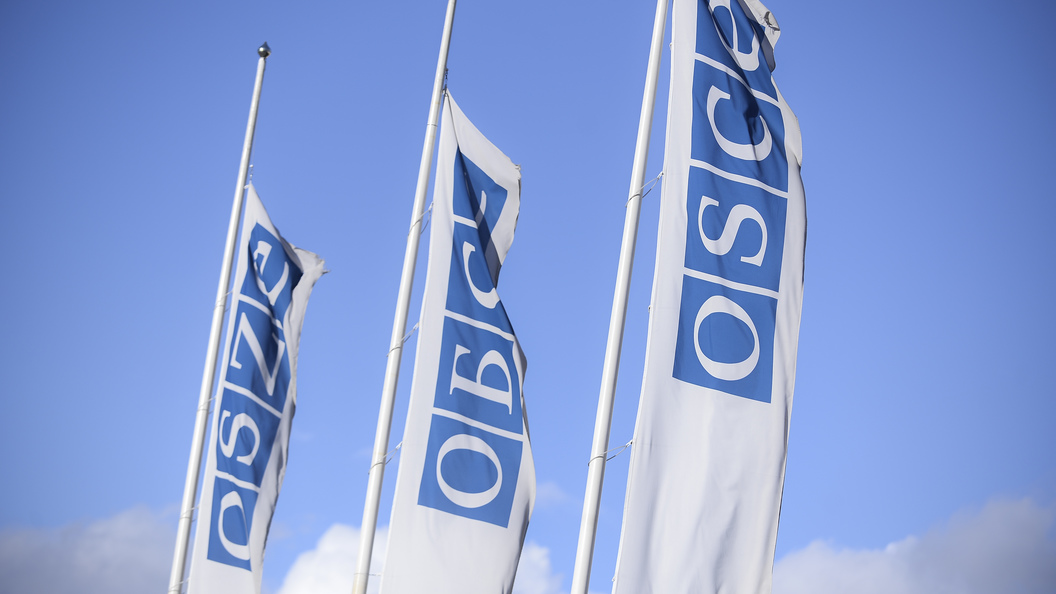 В ОБСЕ осудили угрозы радикалов телеканалу «Интер»